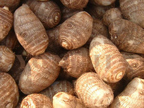 �˻�������ͷ