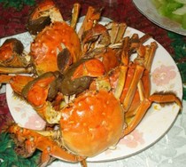 ������̬��բз