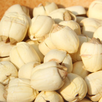 ������Ұ������