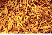 ��ׯ�����