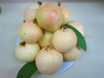 ��֬�췬ʯ��