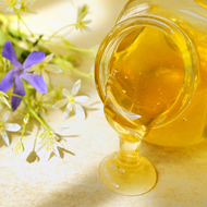 �ӻ���֦��