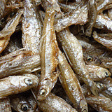 ɽ������