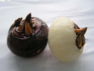 �ֲ�����