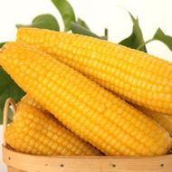 ��Ŵ����