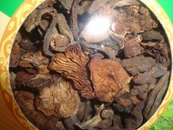 ���ױ���ɽҰ��