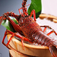 ���ͺ���