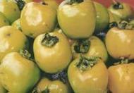 ��Ϫ����