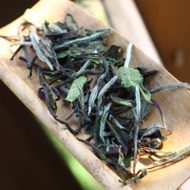 �����ײ�