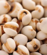 �ֳ�޲����