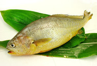 ���´����