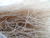 ������˿