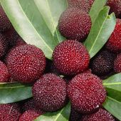 ������÷