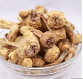 ����ɰ��