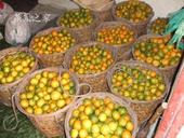 ��ɽ����