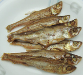 ����Ϫ��