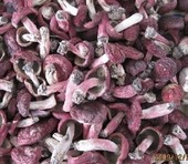 С�����칽