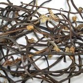 �����ɽҰ��