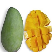 ����â��