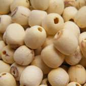 ��ͥ����