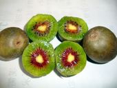 ����⨺���