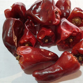 ˫�������