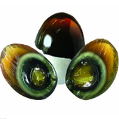 �����ɻ�Ƥ��