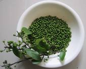 ɽ������