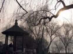 �人�������ʿ���崦