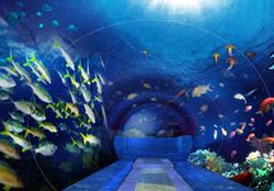 �人����ʯ