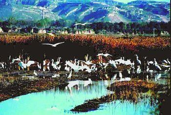 ��������ͥ��