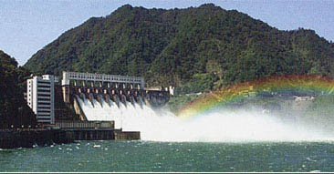 ����������Ϫ