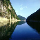 �����Ͷ���