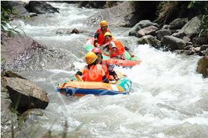 �����鴨����Ư����