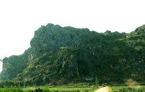 ������ɽ����ַ