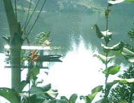 �ɶ�����԰