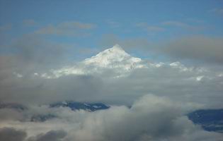 ���쿨�񲩷�