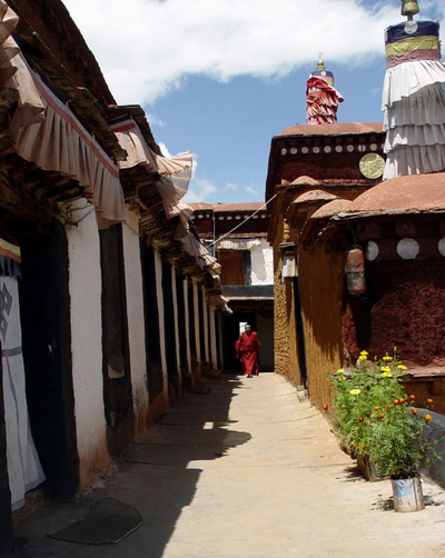 ��������ľ����ӡ��Ժ