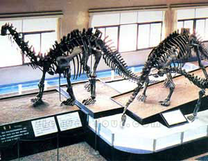 �Թ����������