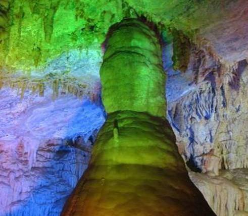 ��֦��������̶�ܶ�