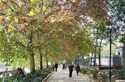 �����ӱ���԰