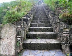 ���庣����