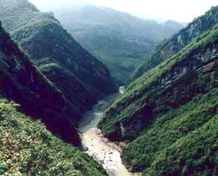 �����ɳ��