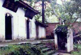 ǭ����������