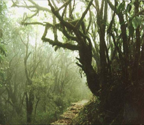 ǭ������ɽ