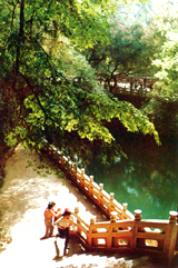 ��Ϫ������