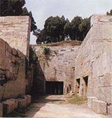 ���¬÷��Ĺ