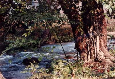 ��Ӹ�����ˮ���ȴ��������ζȼ���