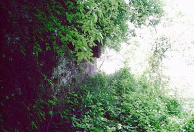 ���Ǭ���Ŷ�