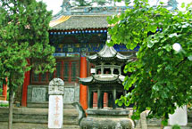 ������̨��